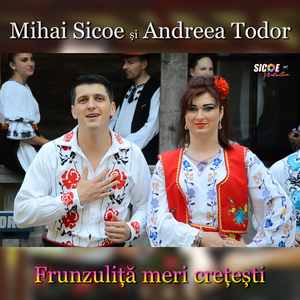 Frunzuliță meri crețești