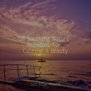 Mystical Nocturnal Haven