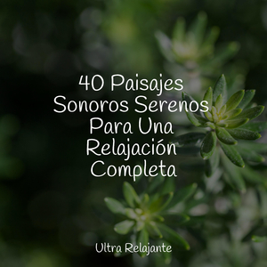 Sueño Consciente