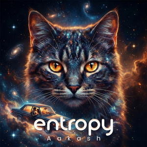 Entropy