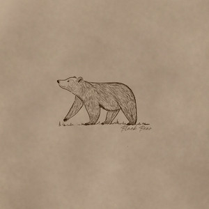 Black Bear