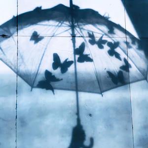 生死有命富贵在天