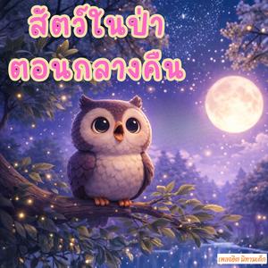 สัตว์ในป่าตอนกลางคืน