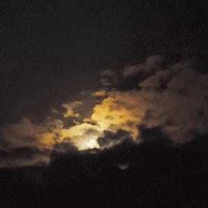 First(PROD BY WomboCombo)