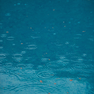 Rain Vibe Five