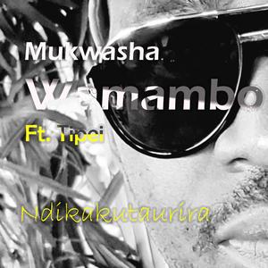 Ndikakutaurira (feat. Tipei)