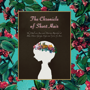 The Chronicle of Short Hair