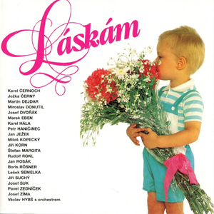 Už Nikdy Víc Milovat Nebudu