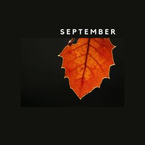 September (Remix) (Remix)