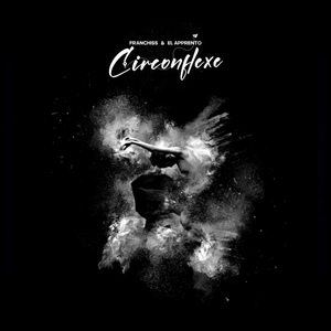 Circonflexe