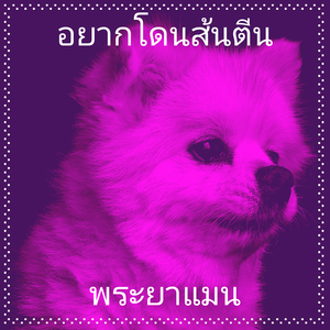 อยากโดนส้นตีน
