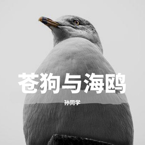 苍狗与海鸥
