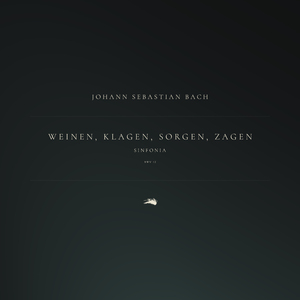 Weinen, Klagen, Sorgen, Zagen, BWV 12: 1. Sinfonia