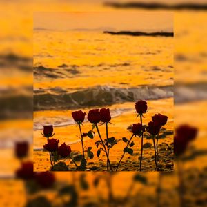 【Free】蓝调R&B Romantic Type Beat‘Rose’