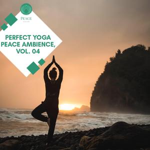 Serenity Of Peacefulness (Meditating Minds)