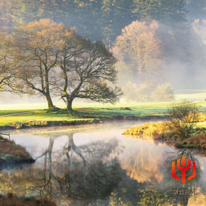 与我共舞（摇篮轻音乐）