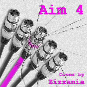 Aim 4 (Flint Cover)
