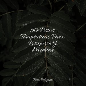 Navega Por El Flujo Tranquilo