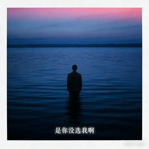 是你没选我啊