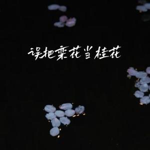 误把栾花当桂花 (Cover YN-K)