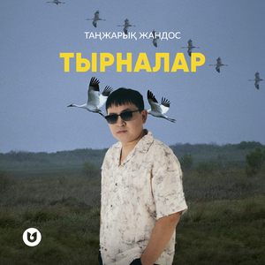 Тырналар