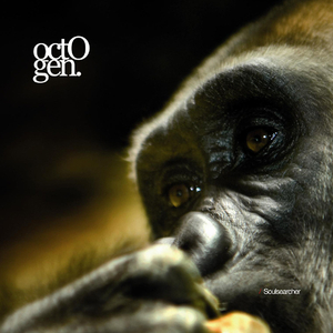 Soulsearcher (Integer Mix)