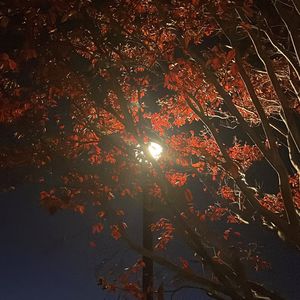 reaching too far (feat. riensu & maxrrss)