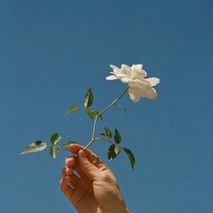 样（Cover 王俊凯）