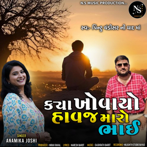 Kya Khovayo Havaj Maro Bhai