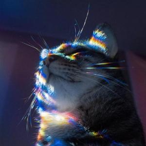 蔓延Spreading demo