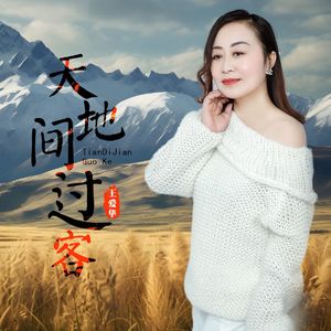 天地间过客（DJ月之歌版）