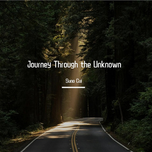 Journey Through the Unknown