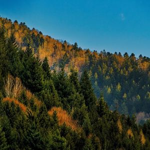 【FREE】“Speed” Dark Trap Beat