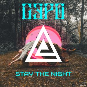 Stay The Night