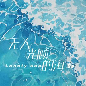 无人光顾的海