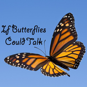 If Butterflies Could Talk