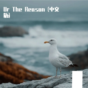 Ur The Reason (中文版)