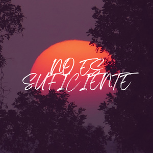 No Es Suficiente