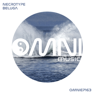 Beluga (Original Mix)
