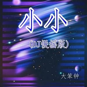 小小 (DJ慢摇版)