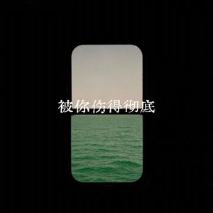 虚假温柔请放下