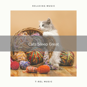 The Cat Music Remains Calm