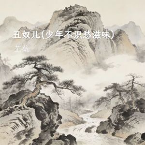 丑奴儿 (少年不识愁滋味)