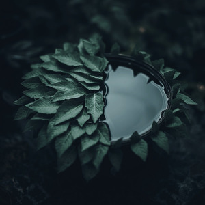 こぼれそうな君のその涙も