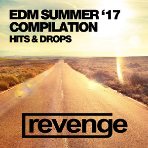 Back Ones Again (Original Mix)