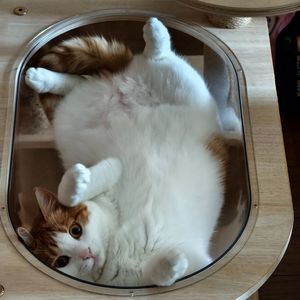 这一生关于你的风景.