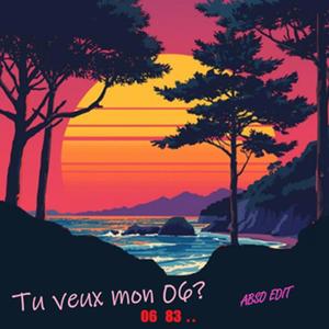 Tu veux mon 06 - Abso Edit