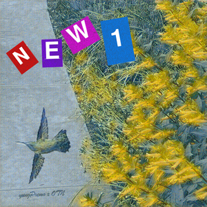 new1