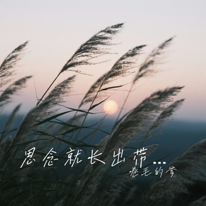 思念就长出带刺的枝芽