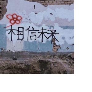 落日下奔跑的挪威